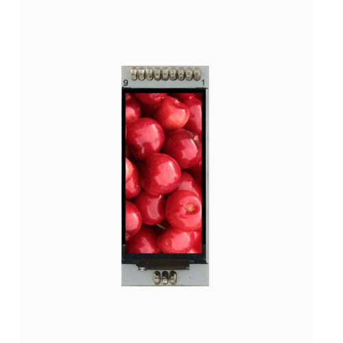 TFT LCD Display Module